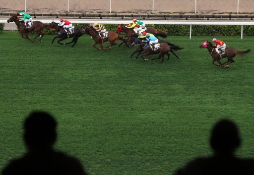 A former Hong Kong champion horse racing trainer has been jailed for corruption while running in a local election A former Hong Kong champion horse racing trainer has been jailed for corruption while running in a local election
