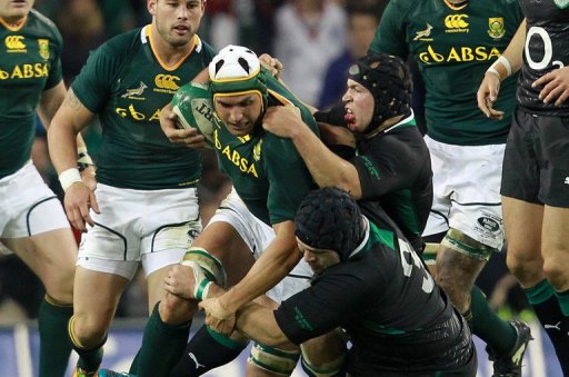 Some critics have likened Springboks' playing style to 'watching paint dry' Some critics have likened Springboks' playing style to 'watching paint dry'