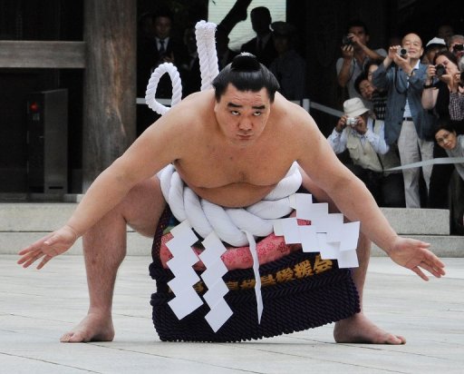 Harumafuji ended his first regular 15-day basho since his September promotion with a miserable nine wins and six losses Harumafuji ended his first regular 15-day basho since his September promotion with a miserable nine wins and six losses