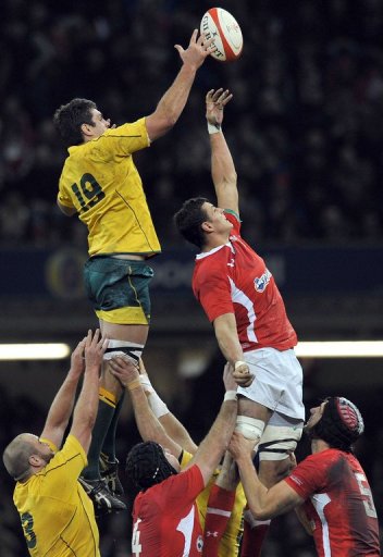 The Wallabies' last-gasp win over Wales in Cardiff at the weekend rounded off an underwhelming season for Australia The Wallabies' last-gasp win over Wales in Cardiff at the weekend rounded off an underwhelming season for Australia