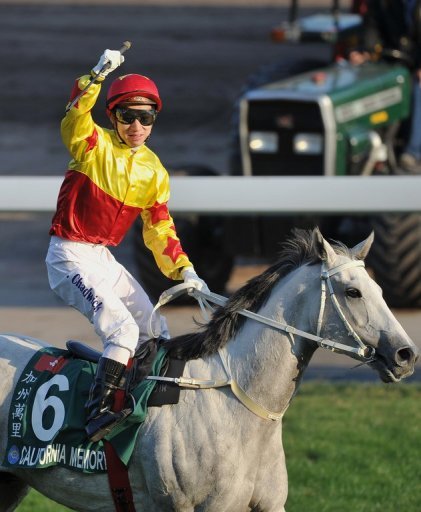 Hong Kong-based California Memory is the front-runner for this year's title Hong Kong-based California Memory is the front-runner for this year's title