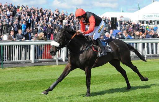 Hurdling great Big Bucks, ridden by jockey Ruby Walsh, runs to win the Liverpool Hurdle on April 12 2012 Hurdling great Big Bucks, ridden by jockey Ruby Walsh, runs to win the Liverpool Hurdle on April 12 2012