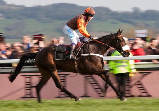 Jockey Sam Waley-Cohen celebrates after riding Jockey Sam Waley-Cohen celebrates after riding