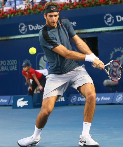 Argentina's Juan Martin Del Potro returns the ball to Serbia's Novak Djokovic on March 1, 2013 Argentina's Juan Martin Del Potro returns the ball to Serbia's Novak Djokovic on March 1, 2013
