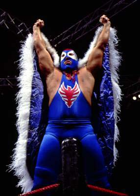 Page 5 - Top 5 'Superhero' gimmicks in professional wrestling