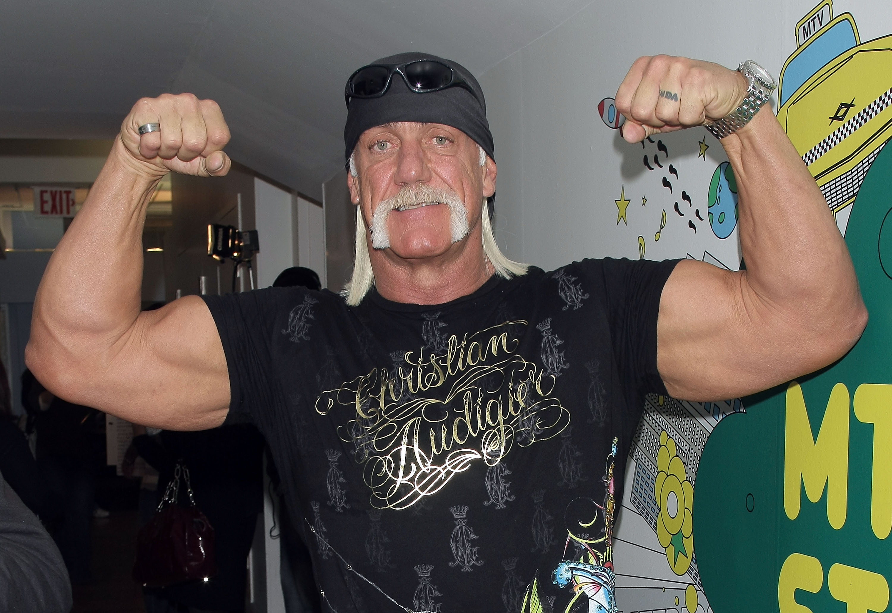 wwe hulk hogan wiki wwe hulk hogan wiki