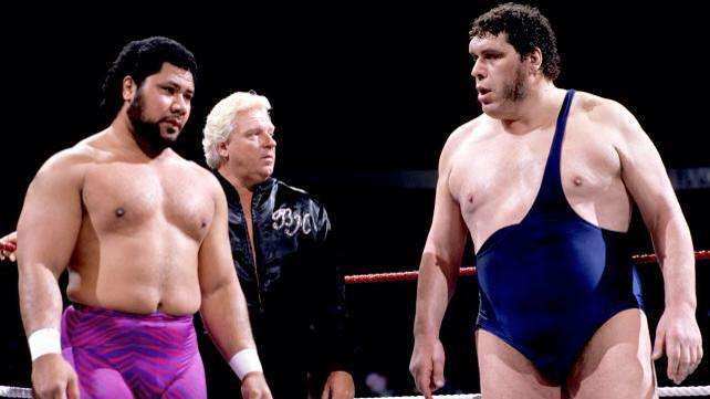 Image result for andre the giant and bobby heenan