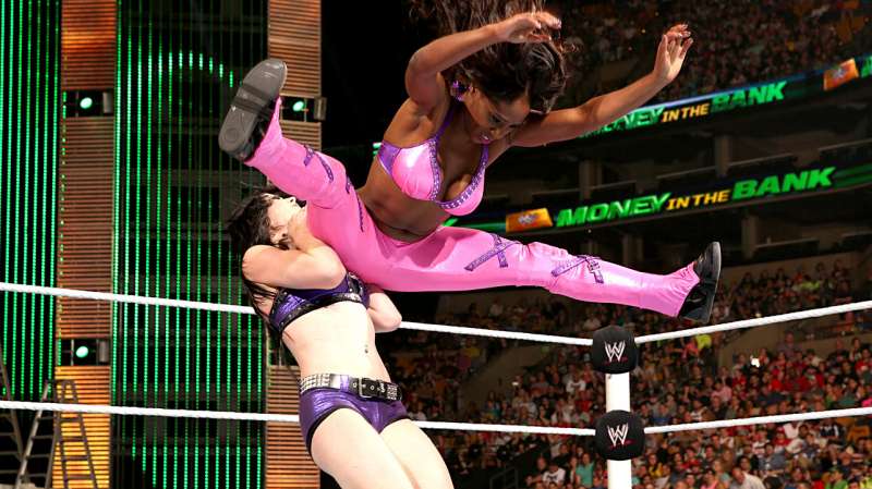 Image result for naomi wwe fight