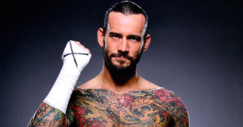 Resultado de imagen para cm punk wwe ufc