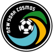 New Year Cosmos New Year Cosmos